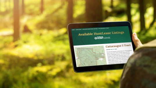 FORECON Website Featured Image