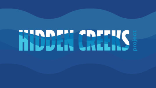 Hidden Creeks Banner Image