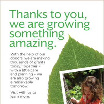 ECF Growing Ad